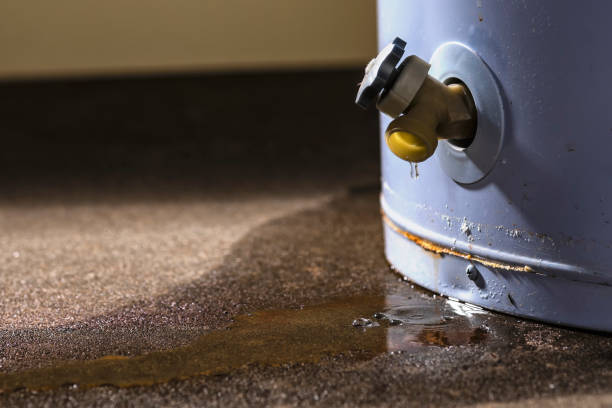 Carpet water damage restoration in WA