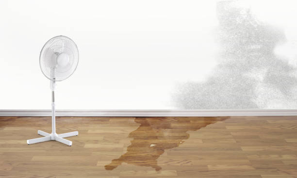 Best 24-hour water damage restoration  in Otis Orchards East Farms, WA